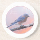 Zoek naar oostelijk onderzetters Natuur