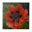 Zoek naar macro tegels Tuin