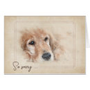 Zoek naar pet loss kaarten Huisdier