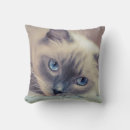 Zoek naar ragdoll kat kussens Dieren