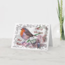 Zoek naar roodborstje kaarten Robin