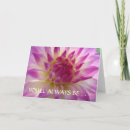 Zoek naar paarse dahlia kaarten Dahlias