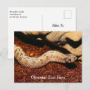 Zoek naar slangen briefkaarten Gif