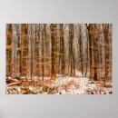 Zoek naar sneeuw posters Bomen