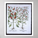 Zoek naar hortus posters School