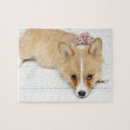Zoek naar pembroke corgi puzzels Welsh