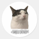 Zoek naar grappige katten stickers Schattig