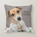Zoek naar jack russell kussens Puppy