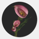 Zoek naar leugenaar stickers Natuur