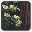 Zoek naar kornoelje stickers Flora