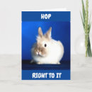Zoek naar een nieuwe hoop kaarten Konijn