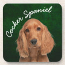 Zoek naar cocker spaniel onderzetters Dierenvriend