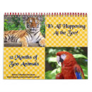 Zoek naar koala kalenders Panda