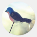 Zoek naar storm fotografie Weersomstandigheden