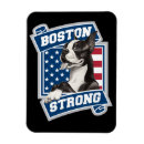 Zoek naar boston magneten Terriër