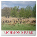 Zoek naar park tegels Dieren