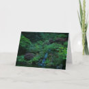 Zoek naar japanse tuin kaarten Foto