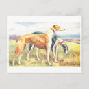 Zoek naar windhonden briefkaarten Illustratie