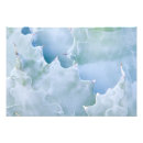 Zoek naar sonora woestijn posters Plant