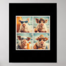 Zoek naar toeristen posters Zand