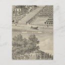 Zoek naar paard tekening briefkaarten Paarden