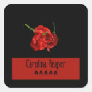 Zoek naar spaanse peper stickers Specerijen