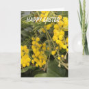 Zoek naar mimosa kaarten Geel