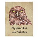 Zoek naar grappige uilen posters Voor iedereen