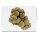 Zoek naar chronische ziekte briefkaarten Biomedische illustraties