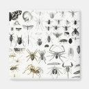 Zoek naar entomologie magneten Vliegen