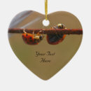 Zoek naar ladybug ornamenten Dier