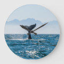 Zoek naar staart klokken Ocean
