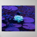 Zoek naar lotusbloem fotografie Blauw