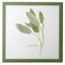 Zoek naar groene tegels Tuin