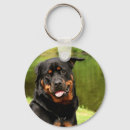 Zoek naar rottweiler hond sleutelhangers Huisdier