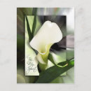 Zoek naar heilige geest briefkaarten Geloof