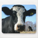 Zoek naar koe grappig muismatten Boerderij