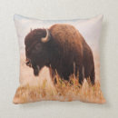 Zoek naar bizon kussens Bruin