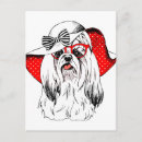 Zoek naar grappige yorkie briefkaarten Schattig