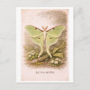 Zoek naar luna briefkaarten Vintage