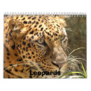 Zoek naar leopard kalenders Wild