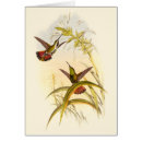 Zoek naar john gould briefkaarten Schilderij