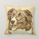 Zoek naar border collie kussens Grens