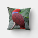 Zoek naar eclectisch kussens Vogel