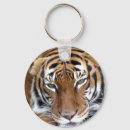 Zoek naar tijger sleutelhangers Foto
