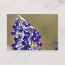 Zoek naar flora visitekaartjes Wilde bloem