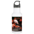 Zoek naar flamingos waterflessen Voor iedereen