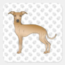 Zoek naar windhonden stickers Elk persoon