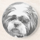Zoek naar shih tzu onderzetters Honden