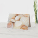 Zoek naar sea shells kaarten Elk persoon